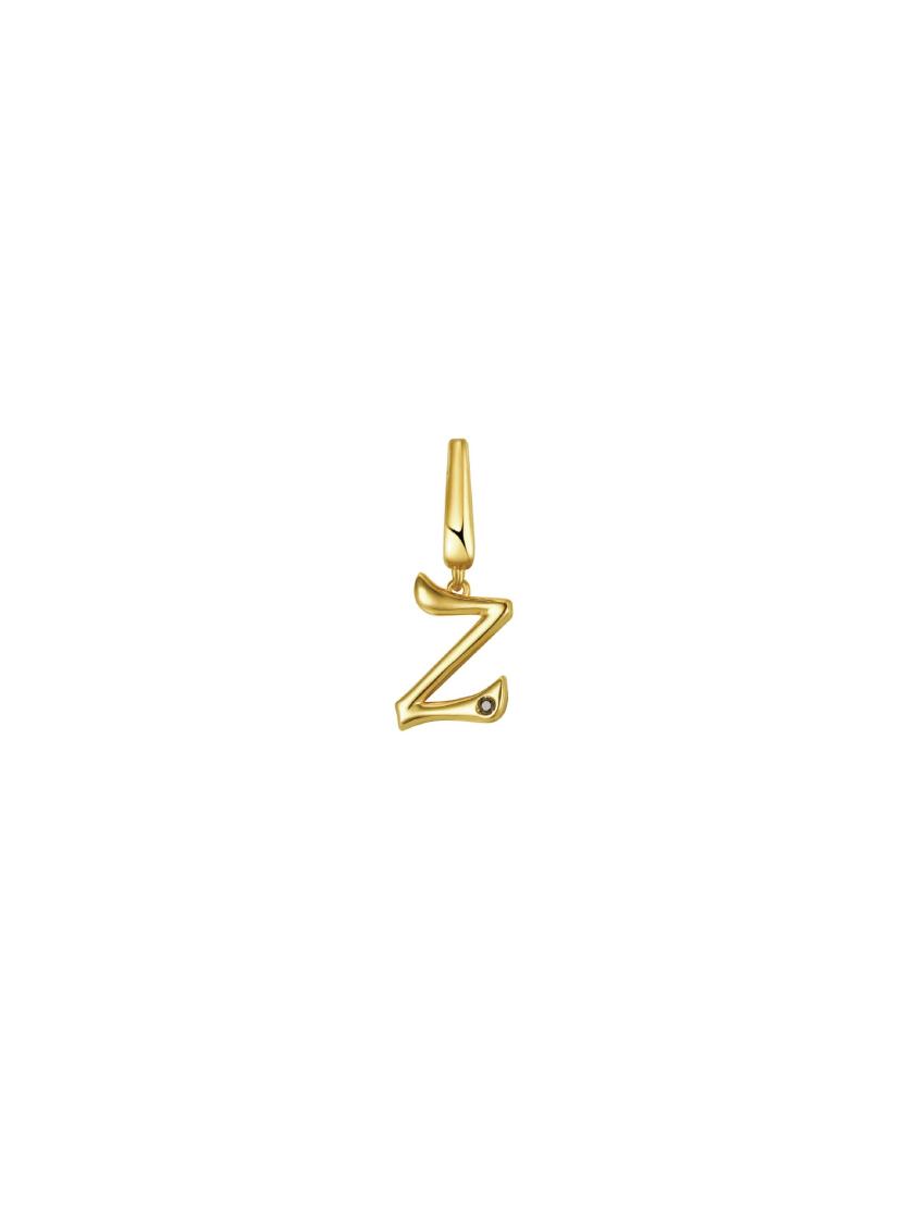 Charms | Z Charm Charms Charms