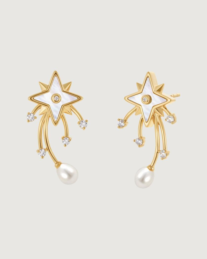 Earrings | Radiant Heart North Star Earring Earrings Earrings