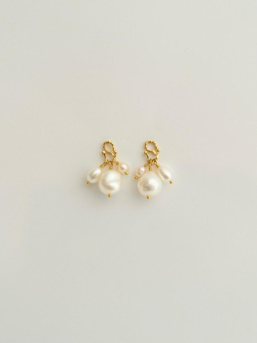 Earrings | S-Shape Earrings Earrings Earrings