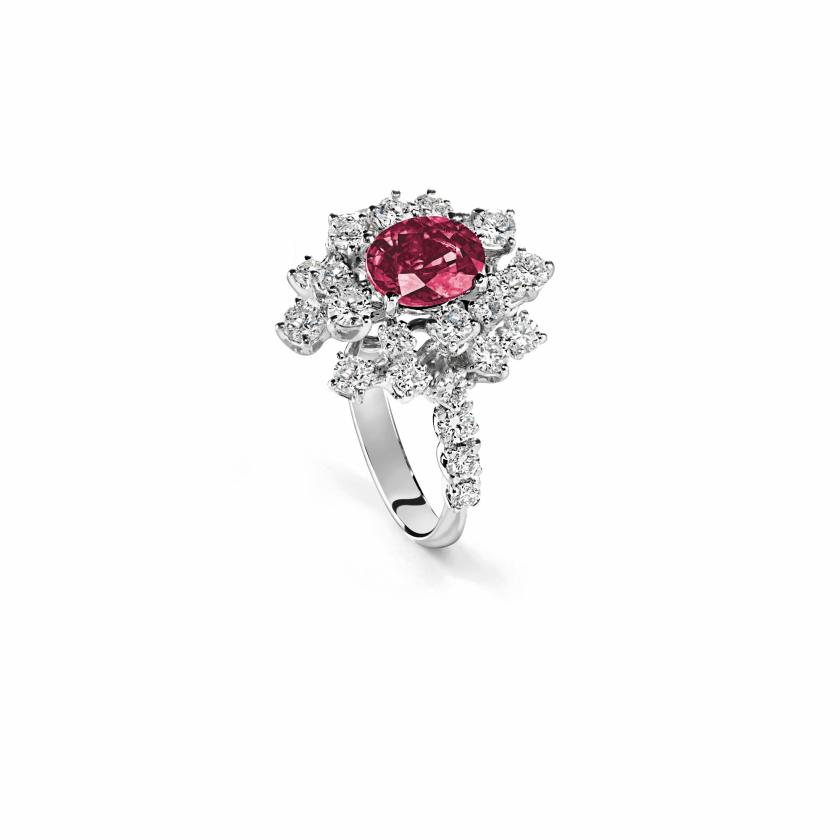 Rings | White Gold, Diamond And Ruby Ring Jewelry Rings